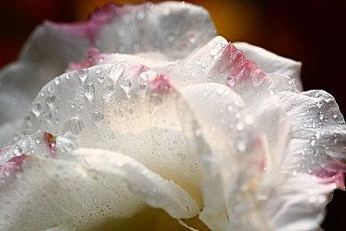 《Apex英雄》第18赛季发行预告 8月3日发布实机演示